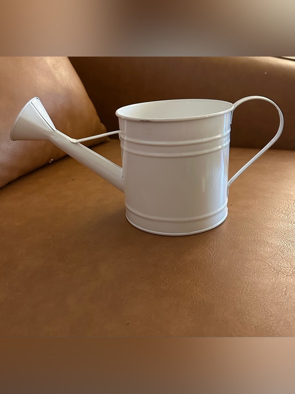 White metal watering can • gardening • house plant care